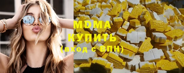 молекула духа Богданович